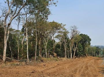 Foto 01 · Terreno, Lençol, São Bento do Sul, SC