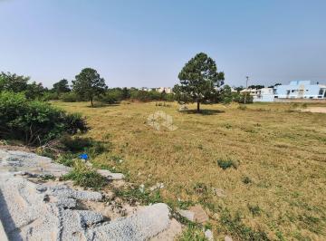 650683_iCD6e_6506836715c535b1170.jpg · TERRENO  NO RIO VERMELHO - FLORIANÓPOLIS  A VENDA R$ 13.000.000,00
