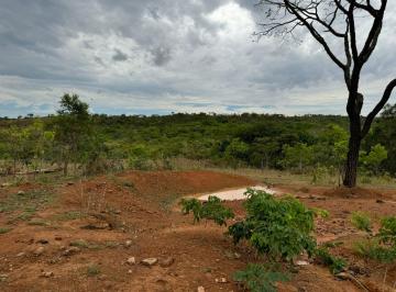 Rural de 2 quartos, Formosa · Fazenda a venda em Formosa - Go com 52 hectares para Gado.