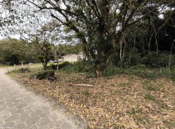 202409111157015547.jpg · Terreno para Venda em Peruíbe, Guaraú