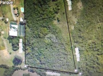 602762_iev38G_6027626670a5f50105a.jpg · Terreno a venda na ESTRADA JARY MARTINS 4 HECTARES
