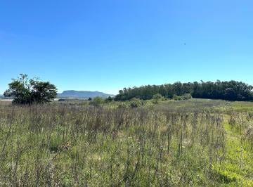 Rural , Glorinha · Chácara 17.000m² - Passo da Taquara - Glorinha - RS