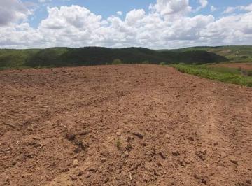 Rural · 120395m² · Sítio localizado no Municípo Sítio do Quinto/BA