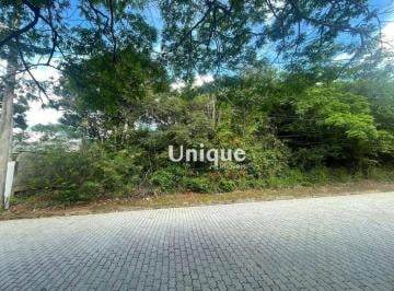 5aafcab90789143759ce77d3ff3d0541f2635964 · Terreno à venda, 450 m² por R$ 220.000,00 - Caravela - Armação dos Búzios/RJ