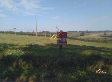 Rural · 2805m² · Chácara à venda no bairro Volta Do Anacleto em Montenegro/RS