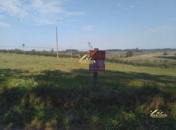 Rural · 2805m² · Chácara à venda no bairro Volta Do Anacleto em Montenegro/RS