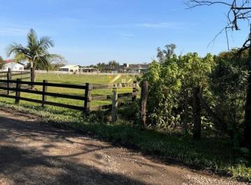 Rural · 6051m² · Sítio à venda no bairro Califórnia em Nova Santa Rita/RS