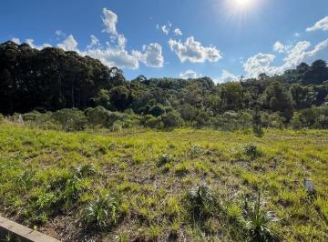 Foto 01 · Terreno, Villa Romana, Flores da Cunha, RS