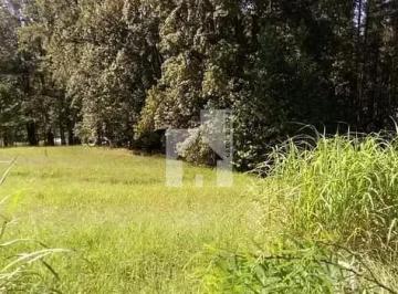 11694820418654.jpg · Terreno à venda Condomínio Terras Caxambu, Jundiaí, SP