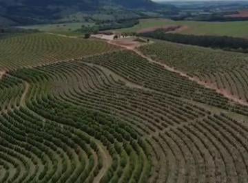 Photo_0 · 
                Fazenda de 126 Ha - 280 mil pés de café _Sul de Minas.
            