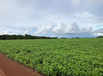 Rural , Confresa · FAZENDA DE LAVOURA EM CONFRESA - MT