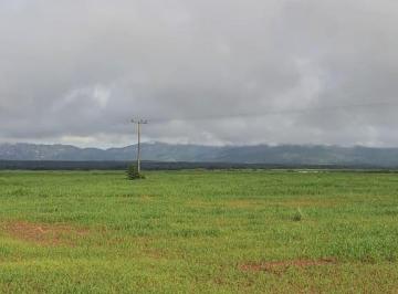 Rural , Natividade · Fazenda Dupla Aptidão região de Natividade-TO