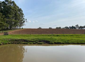 Rural , Glorinha · Sítio 4,0 hectares – Rincão São João – Glorinha - RS