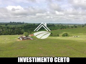 202505291044145886.png · Fazenda para Venda em Machadinho D`Oeste, Região muito produtiva