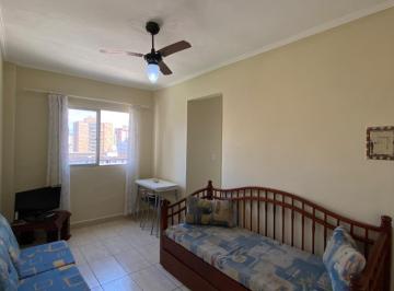 Apartamento · 41m² · 1 Quarto · 1 Vaga · Apartamento 01 Quarto em Boqueirão - Praia Grande, SP