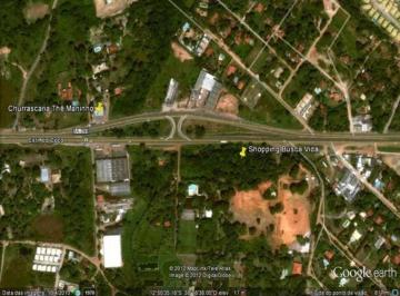 4.475m² Estrada do coco Gerson · Terreno a venda em Abrantes
