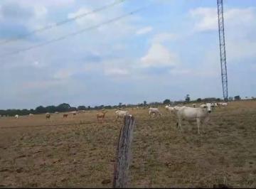 Rural · 19400000m² · FAZENDA A VENDA NA REGIÃO DE CUIABÁ-MT!!