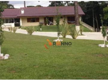 1b93beca347468c5a187883665123bea49adb834 · Chácara com 4 dormitórios à venda, 30000 m² por R$ 1.700.000,01 - Timbú Velho - Campina Grande do Su