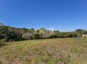 75278_iLX86_752786727f22ec4695.jpg · Terreno à venda - em Santa Felicidade