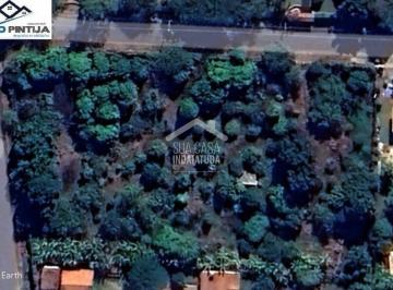 Casa · Terreno de 6.000m com pomar formado por mais de 200 espécies no condomínio Vale das Laranjeiras