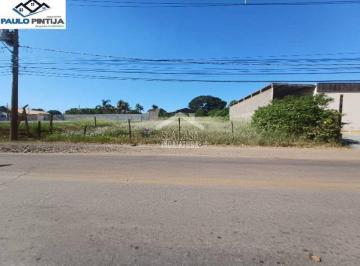 Comercial · 900m² · Terreno Comercial Localizado na Avenida Paulo de Tarso Martins (Polo)