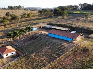 Foto 01 · HARAS DE 4.6 HECTARES C/ ÓTIMA ESTRUTURA À VENDA EM PIRACEMA/MG