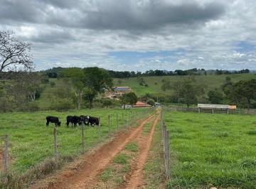 Foto 01 · FAZENDINHA 7 HECTARES PIQUETADA, IRRIGADA E COM ÓTIMA ESTRTUTURA À VENDA EM PIRACEMA/MG