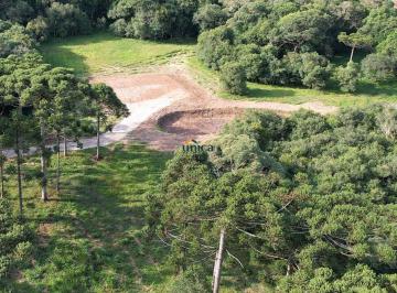 Foto 27 · Terreno à Venda 11.000,00 m² em Campo Alegre, SC