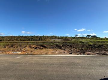 Terreno · 704m² · Revenda Exclusiva! Terreno Alphaville Paraná com vista para o mirante! 704 M² -