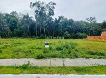 Terreno · 262m² · Terreno plano em ótima localização em São José