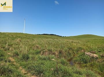 Rural · 50ha · Ótimo campo em São Francisco de Paula.