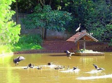 0 · terreno à venda em Residencial Barão do Café