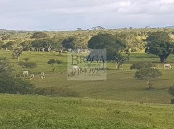 Foto 05 · CRIA E RECRIA  600 BOVINOS EM CASTRO ALVES - BA