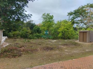 Foto 17 · Terreno em Condomínio, Costa do Sauípe, Mata de São João, BA