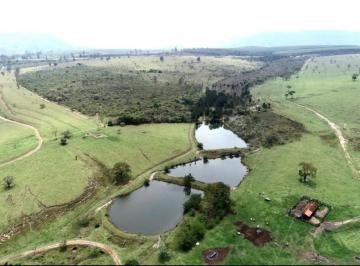 Foto 01 · EXCELENTE OPORTUNIDADE DE NEGÓCIO ?  FAZENDA A VENDA NA REGIÃO DE BOTUCATU-SP ??    Área Total de 29