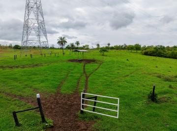 Rural de 4 quartos, Bezerra · Formosa Go - FAZENDA - GO 468 - PECUÁRIA