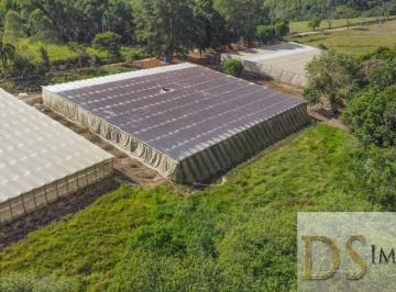 Foto 01 · OPORTUNIDADE ÚNICA: SÍTIO DUPLO EM SÃO MIGUEL ARCANJO/SP - Agricultura e Pecuária - 10 alqueires - B