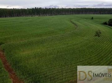 Foto 01 · FAZENDA DE 80 ALQUEIRES EM TATUÍ/SP: ÁREA EM CANA, BENFEITORIAS COMPLETAS E DOCUMENTAÇÃO 100% EM ORD