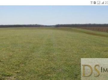 Foto 01 · VENHA CONHECER: FAZENDA DE CANA À VENDA EM RANCHARIA/SP - 1.412 ALQUEIRES NA BEIRA DA PISTA
