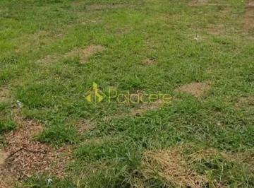 7e7401fc-f56f-4973-9ca2-c8b574da8ac11730233897043.jpg · Terreno à venda, Centro, Pindamonhangaba, SP