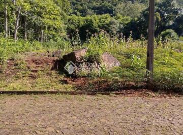647357_i42brm717_647357672a19e695135.jpg · Terreno com 950,00m² no bairro Belvedere em Morro Reuter