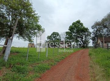 Rural · 120m² · 4 Quartos · 
                Sítio - Linha Delfina
                