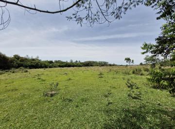 Rural , Sapiranga · Sítio/Chácara na Localidade de Porto Palmeira em Sapiranga/RS