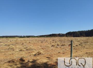 01.jpeg · Chácara 12.4 hectares  Escriturada  em Brazlândia