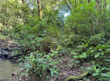 Foto 09 · Sítio à venda em Três Coroas-RS, Bairro Canastra Baixa, 28 hectares de área! Venha conferir!