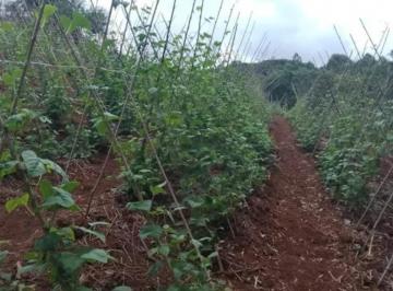 Foto 01 · Fazenda de 53 alqueires à venda em Guapiara/SP  - Oportunidade de negócio imperdível!