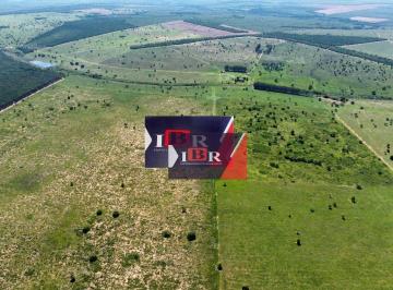 39493f565c220ad759292712800d0e35439a623a · Fazenda em Ribas do Rio Pardo - MS