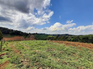 Terreno · 41000m² · Terreno à venda no bairro Centro - Toledo/MG