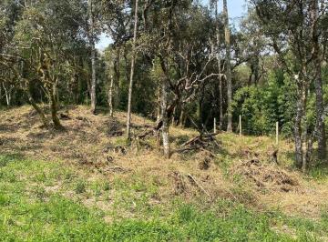 Rural , Urubici · Área de 4 hectares na localidade de Imbuia, Urubici/SC