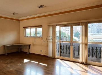 imagem · Sala para alugar em Valinhos, Vila Bissoto, com 60 m²